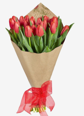 25 Red Tulips Image
