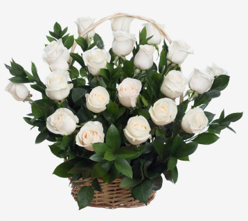 سلة الورود البيضاء