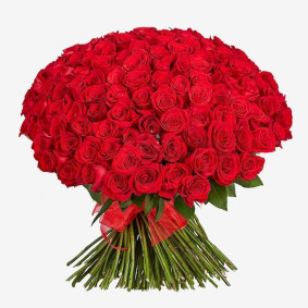 150 Red Roses Image