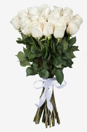 White Roses Image